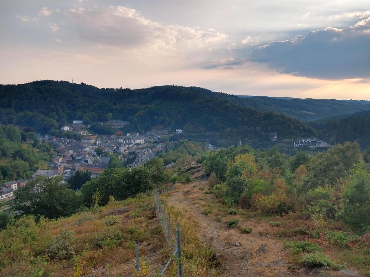 Ardennature vakantiehuizen met privé-sauna La-Roche-en-Ardenne Buitenkant foto